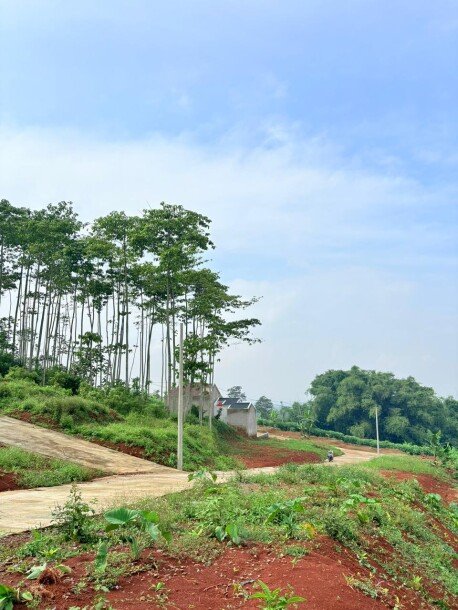 Investasi Tanah di Cileunyi – Lingkungan Asri, Bebas Banjir, Cocok untuk Villa-6