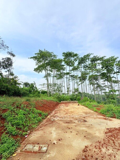 Investasi Tanah di Cileunyi – Lingkungan Asri, Bebas Banjir, Cocok untuk Villa-13