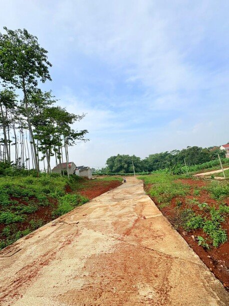 Investasi Tanah di Cileunyi – Lingkungan Asri, Bebas Banjir, Cocok untuk Villa-15