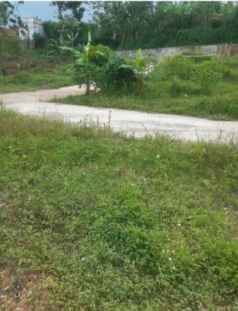 Mencari tanah idaman tampa dp di cinunuk'cileunyi-3
