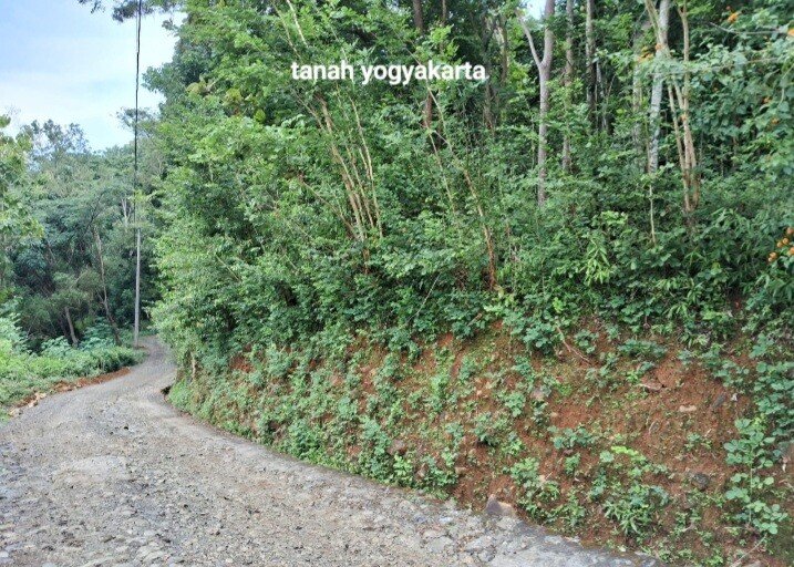 Tanah setrategis hadap jalan raya di yogya karta cicil mudah tanpa bank-6