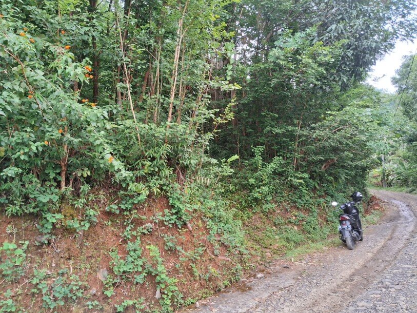 Dijual Tanah di Kulon Progo Yogyakarta – Bebas Banjir, Tanpa BI Checking-1