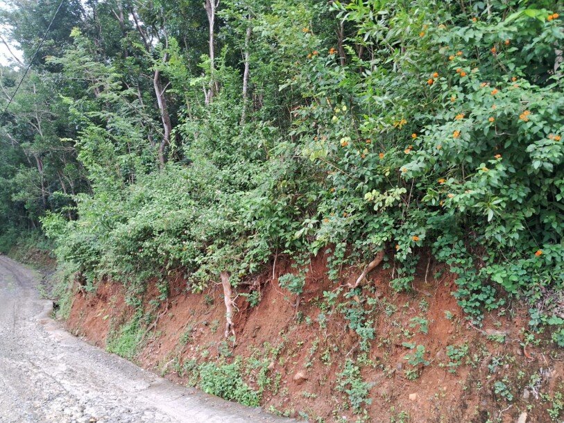 Dijual Tanah di Kulon Progo Yogyakarta – Bebas Banjir, Tanpa BI Checking-2