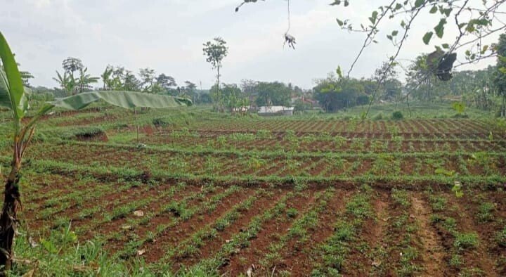 Jual Tanah Kebun Murah Cicalengka – Cicilan Ringan Langsung Pemilik, Tanpa Bank-1